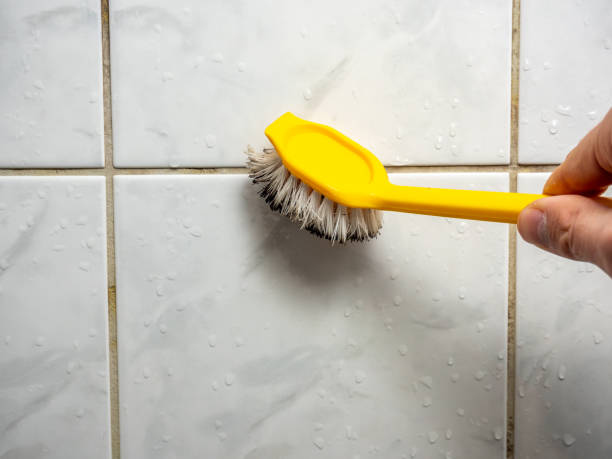 Best Home Mold Removal  in Kingston, PA