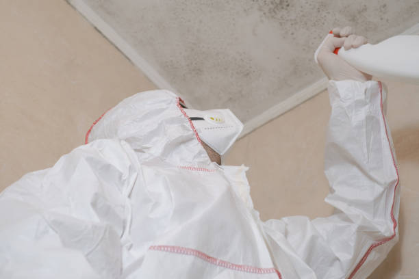 Best Toxic Mold Removal  in Kingston, PA