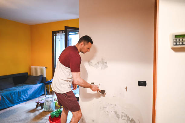 Best Mold Removal Process  in Kingston, PA