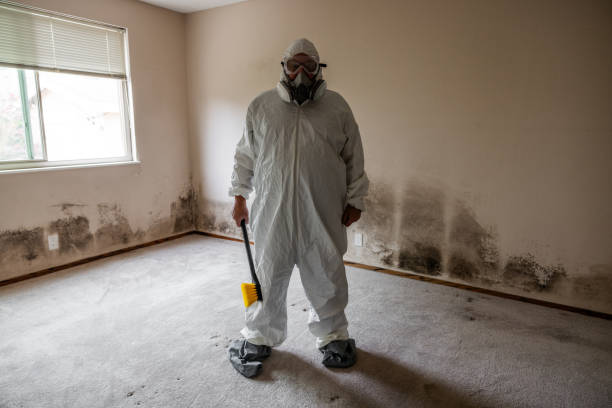 Best Crawl Space Mold Removal  in Kingston, PA